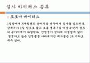 송아지 질병과 해결방안 11페이지