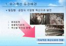유기축산의 현황과 활성화 방안 4페이지