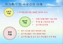 유기축산의 현황과 활성화 방안 17페이지