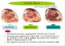 PSE돈육 발생의 원인이 되는 PSS 유전자 9페이지
