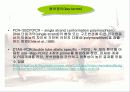 PSE돈육 발생의 원인이 되는 PSS 유전자 16페이지