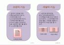 노인복지의 문제점과  해결방안  14페이지