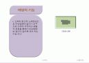 노인복지의 문제점과  해결방안  15페이지