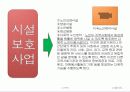 노인복지의 문제점과  해결방안  35페이지