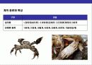  바닷게의 종류와 특성에 대한 이해 3페이지