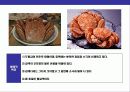  바닷게의 종류와 특성에 대한 이해 12페이지