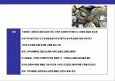  바닷게의 종류와 특성에 대한 이해 20페이지