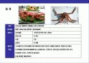  바닷게의 종류와 특성에 대한 이해 21페이지