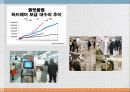 일본기업연구- 닌텐도 24페이지