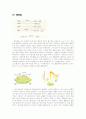 광합성[photosynthesis 光合成]  4페이지