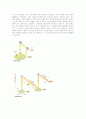 광합성[photosynthesis 光合成]  5페이지