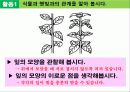 교육과정수업발표 식물의잎이 하는일  18페이지