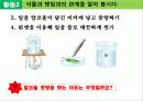 교육과정수업발표 식물의잎이 하는일  25페이지