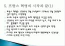 프랑스혁명  20페이지
