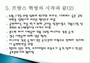 프랑스혁명  21페이지