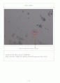 Synthesis and Characterization of ZnO Nanorod 결과보고서 5페이지