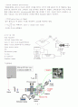   Laser Ablation of a Graphite Target in a N2 Atmosphere and Pulsed Laser Deposition (PLD) Process 3페이지
