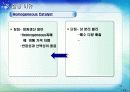 바이오디젤 생산공정 설계레포트 12페이지