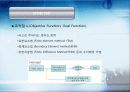 Optimization Toolbox 9페이지