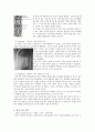 중세시대 - 고딕 5페이지