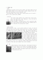 중세시대 - 고딕 8페이지