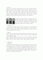 중세시대 - 고딕 9페이지
