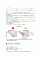 지구 온난화의 원인과 대책 9페이지