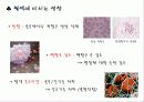 [파워포인트]금주프로젝트 7페이지