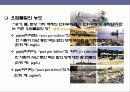 환경오염 & 문제 해결에 대한 이해(생태계를 중심으로) 9페이지