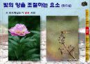 사진 촬영 강좌 19페이지