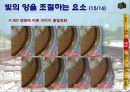 사진 촬영 강좌 25페이지