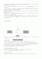 성경심리의 모델 4페이지