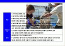 새우 & 가재의 종류와 특성에 대한 이해 5페이지