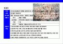 새우 & 가재의 종류와 특성에 대한 이해 13페이지