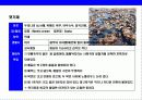 새우 & 가재의 종류와 특성에 대한 이해 21페이지