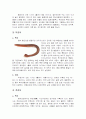 장어에 대하여 7페이지