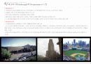 미국의 도시재생 사례 14페이지
