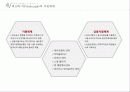 미국의 도시재생 사례 16페이지