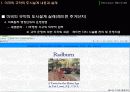 외국의 도시계획 제도  10페이지