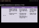 외국의 도시계획 제도  27페이지