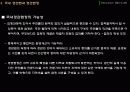 외국의 도시계획 제도  41페이지