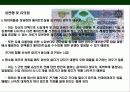 리비아 (Libya)에 대한 이해와 시장 진출 전략 12페이지