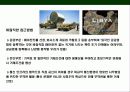 리비아 (Libya)에 대한 이해와 시장 진출 전략 14페이지