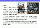 모로코 (MOROCCO)의 이해와 시장 진출 전략 11페이지