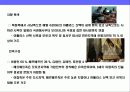 모로코 (MOROCCO)의 이해와 시장 진출 전략 25페이지