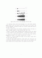 레이놀즈 수측정 실험 목적 11페이지