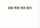 (유기화학실험) 알돌축합 엔온합성반응 1페이지