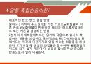 알돌 축합반응을 이용한 트랜스, 트렌스-다이벤질리딘 아세톤의 합성 5페이지