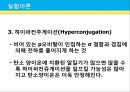 카니자로 자동 산화 – 환원 반응 10페이지
