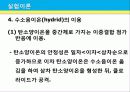 카니자로 자동 산화 – 환원 반응 12페이지